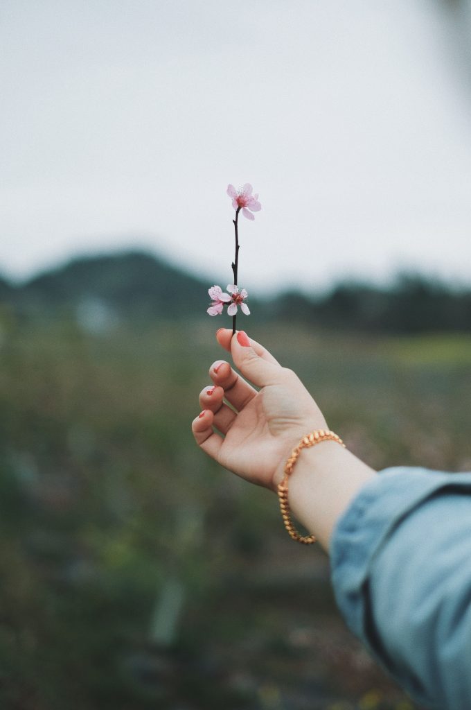 Young woman standing outside and holding up a small tree branch with blossoms on it