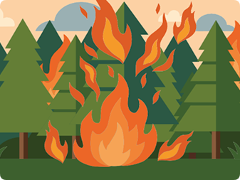 fire